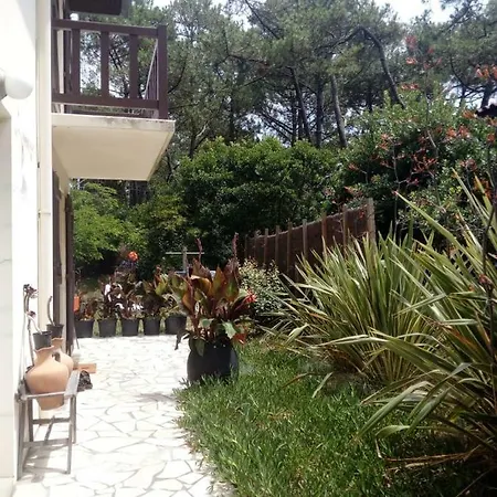 Konukevi La Collinette Soorts-Hossegor